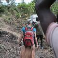Walking medium Walking to Morne Sable medium